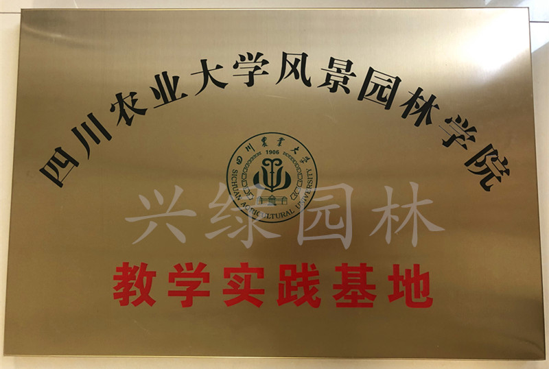 公司資質(zhì).jpg