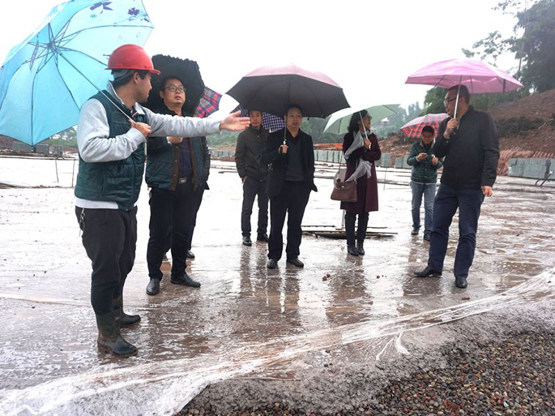 城投公司魏董事長(cháng)調研長(cháng)濕新城建設情況