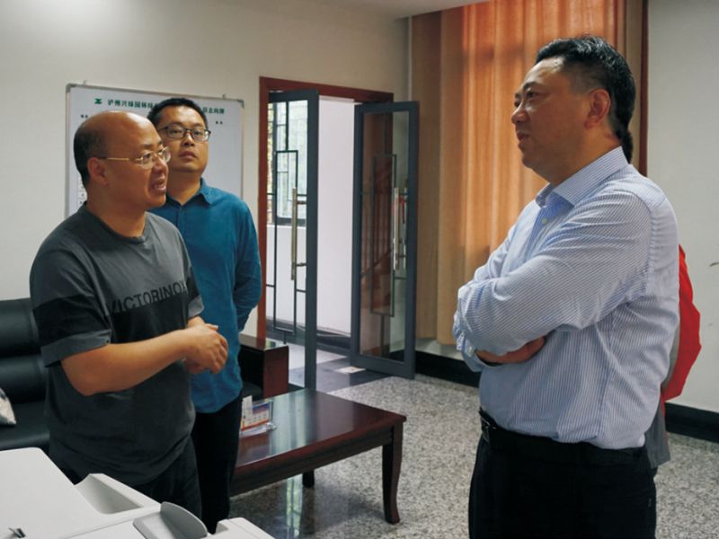 丁湘副市長(cháng)調研興綠公司工作