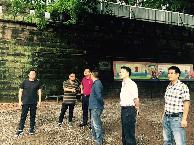 杜磊局長(cháng)調研瀘順起義紀念地環(huán)境整治工程建設工作