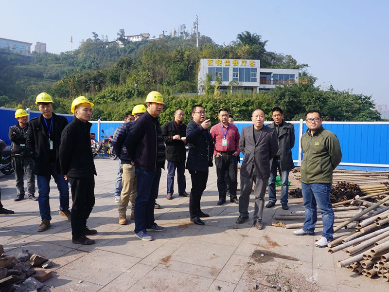 黃勇局長(cháng)調研綠道項目建設情況