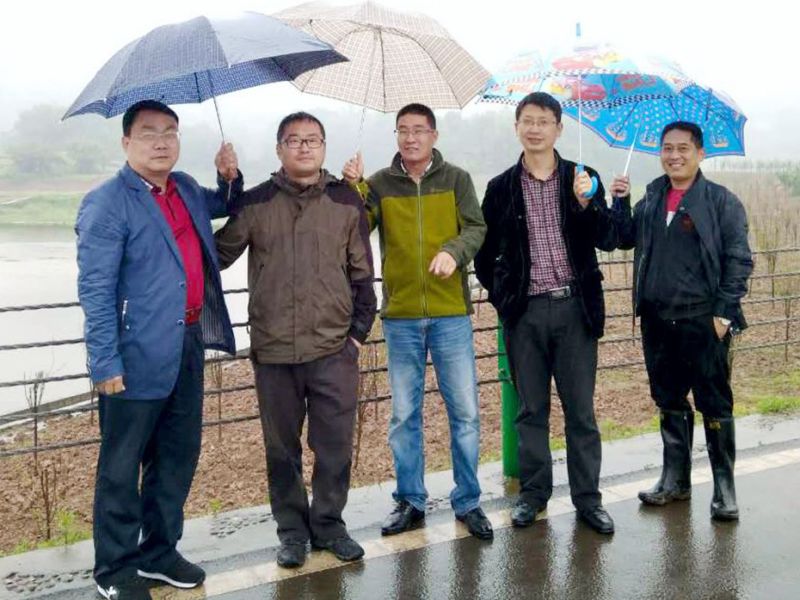 園林局徐局長(cháng)調研董永壩苗圃基地
