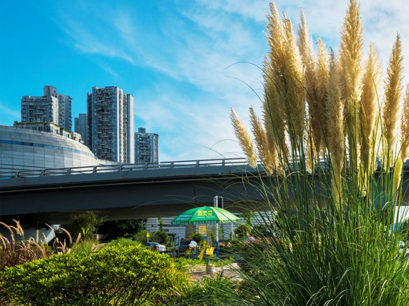 沱江二橋加寬改造工程附屬景觀(guān)建設項目